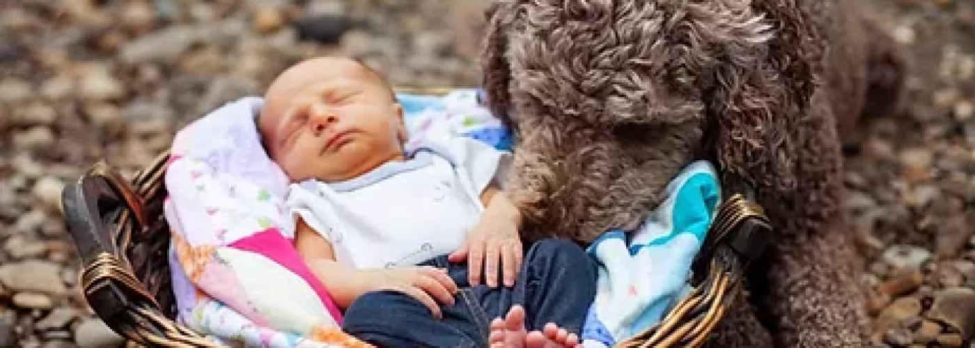 Baby-Charles Baby-Charles